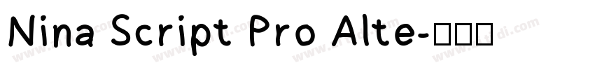 Nina Script Pro Alte字体转换